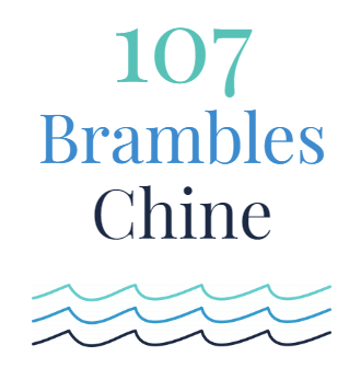 107 Brambles Chine Case Study logo Chell Web & Design