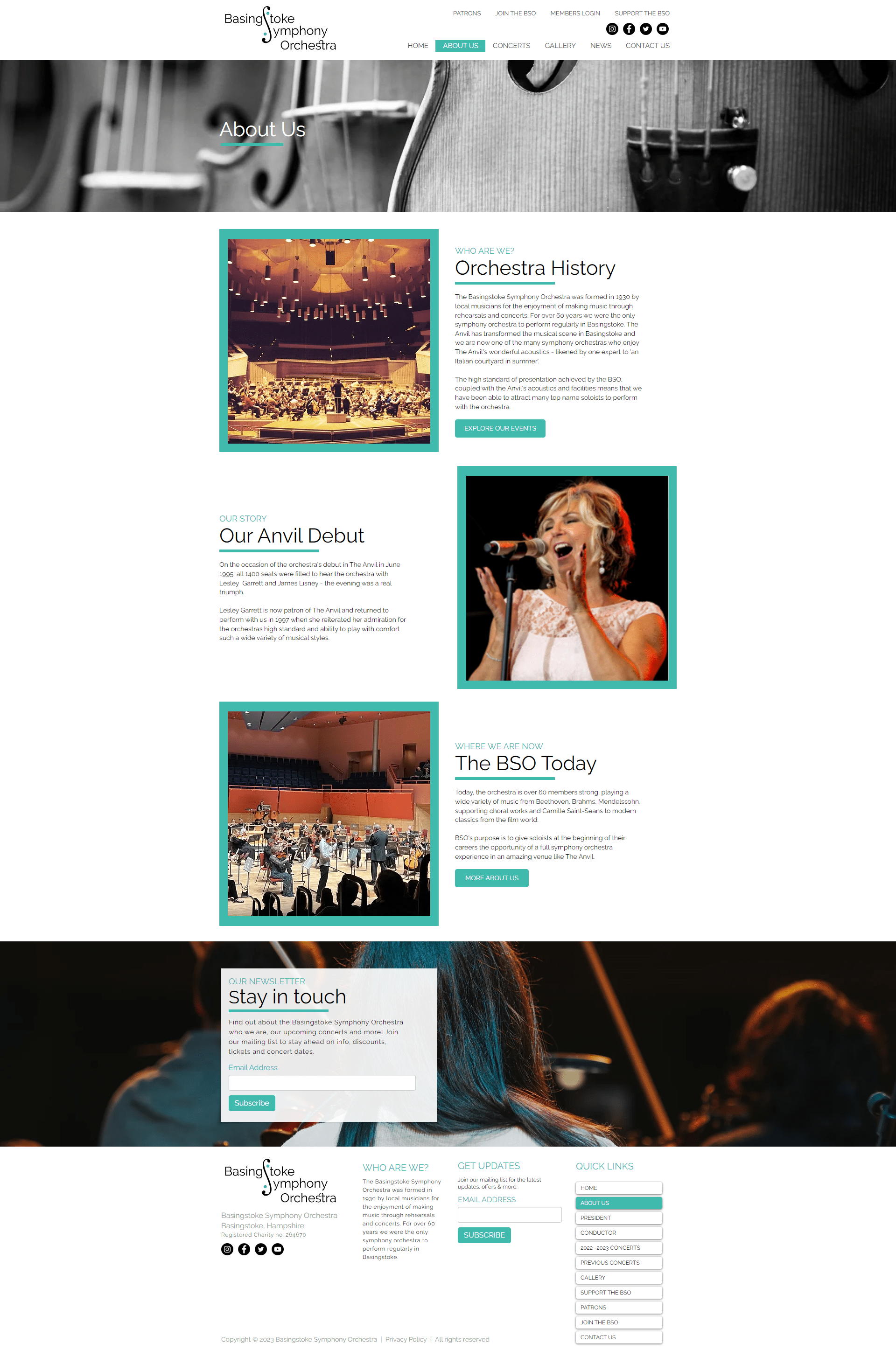 Basingstoke Symphony Orchestra About Page